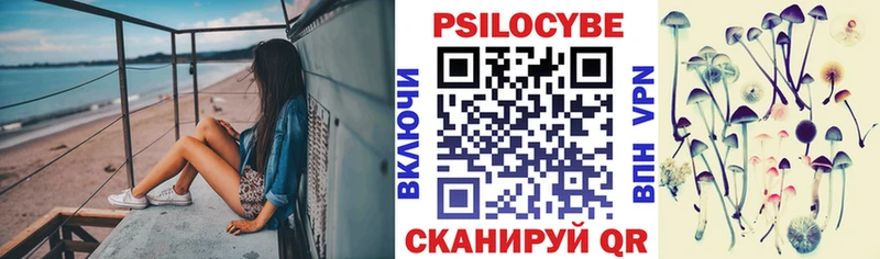 Купить где  Константиновск  Галлюциногенные грибы Magic Shrooms 